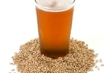 beer_barley_web_medium_beer_barley_web_medium