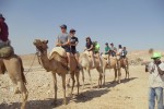 kids_on_camels.jpg_kids_on_camels-jpg