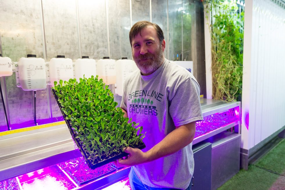 Bobby Zuker of Green Line Growers, a hydroponic farm in Brookline. (Photo: Jordyn Rozensky)
