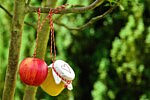 Apple and Honey (Photo: congerdesign/Pixnio)