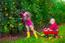Children Picking Apples (Photo: FamVeld/iStock)