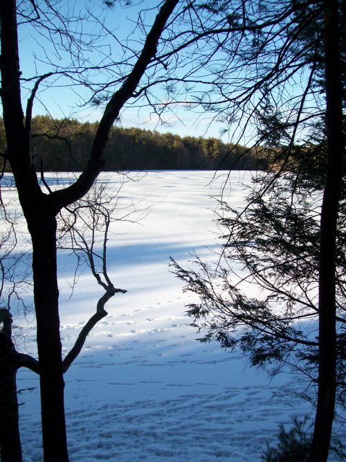 Frozen Lake or Meadow