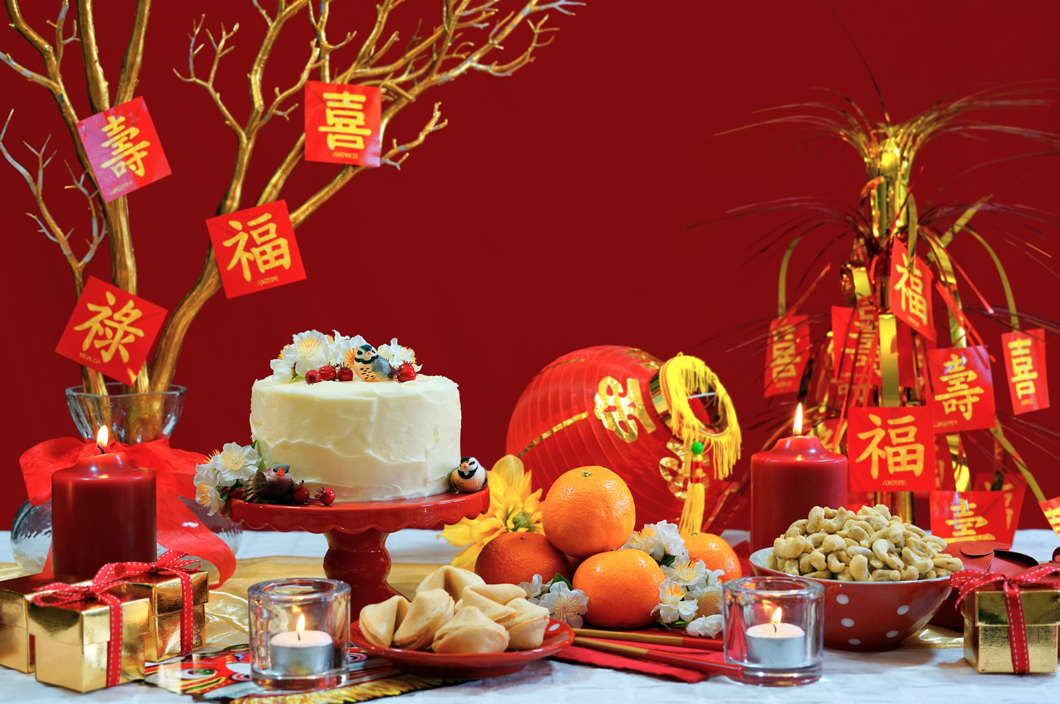 Chinese Lunar New Year Photos Cantik