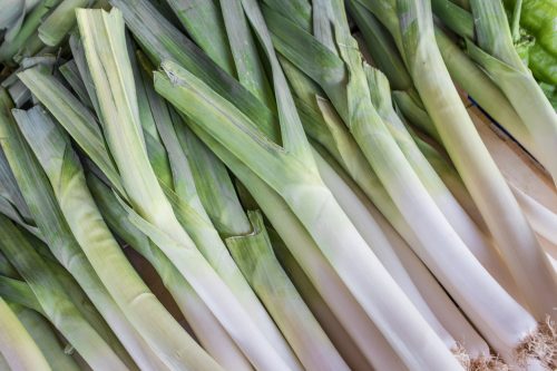 Bunch of fresh leek vegetable sold in a street market in Italy