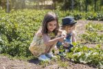 Children in a vegetable patch on a farm (Photo: mikimad/iStock)