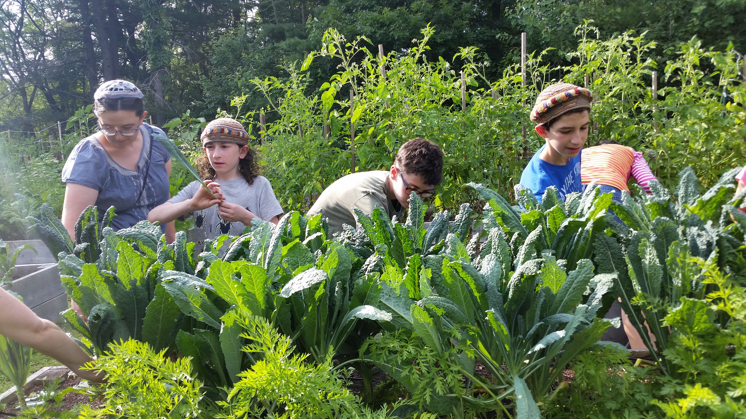 How Communities of Faith Are Planting Seeds of Friendship
