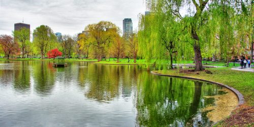 Boston Public Garden (Photo: Rick Harris/Flickr)