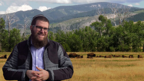 Rabbi Chaim Bruk in “The Rabbi Goes West” (Promotional still)