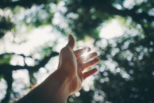selective-focus-photography-of-hand-1654698 (Photo: Ricardo Esquivel/Pexels)