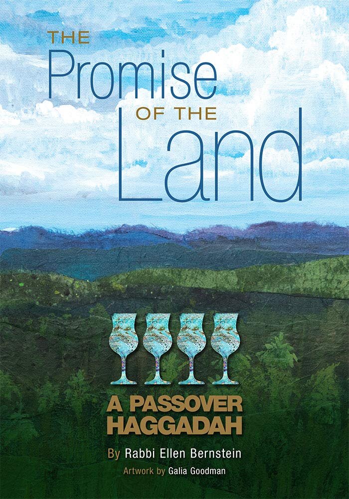 the_promise_of_the_land_cover