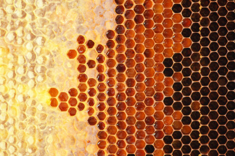 Honey in frame. Texture design.