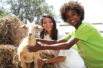 Youth Aliyah students in the animal therapy program (Photo: Hadassah)