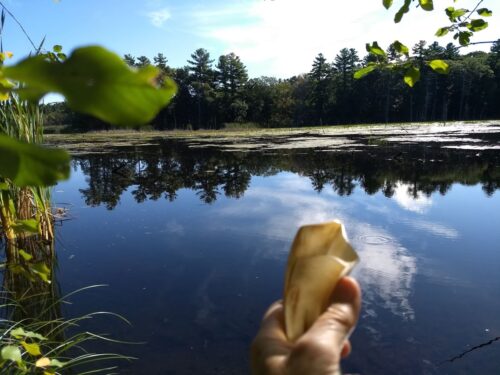 shofar at pond