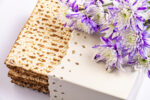 Passover background with matzah and white and purple gerberas. Jewish holiday. View from above. Passover (Passover) Seder Passover celebration concept