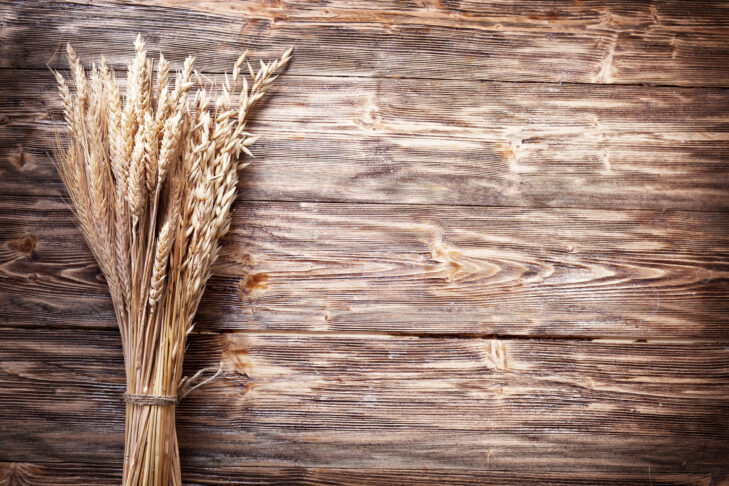 Ears of wheat on old wooden table.