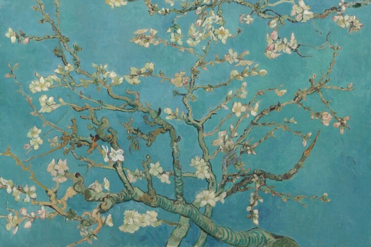 “Almond Blossom” by Vincent Van Gogh (Courtesy: Van Gogh Museum/Foundation)