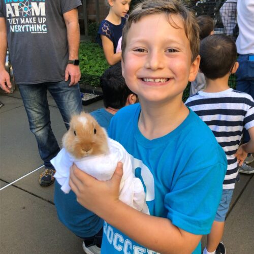 Boy wearing blue shirt and holding a baby bunny