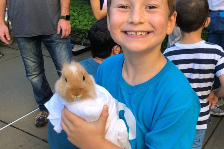 Boy wearing blue shirt and holding a baby bunny
