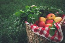 Apples anthony-ievlev-lvYeBYAuJvQ-unsplash