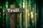 Wooden Trail Sign In A Forest For Hikers
