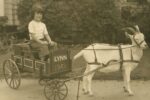 Joanne "Chichi" Fox Brumberg as a young girl sitting in a buggy attached to a goat in Lynn, circa 1949,