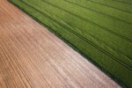 Divide, Contrast, Opposites, Nature, Agriculture, Farming, Climate, Weather, Environment ivan-bandura-XsAz9Mq61XY-unsplash