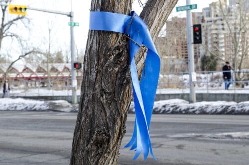 Blue ribbon on tree