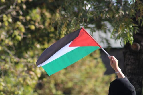 Muslim woman waving the Palestinian flag