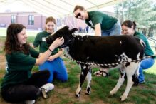 Emily Heeren, director of programs and partnerships at BaMidbar, explores animals and mental health with Boston Teen Wellness Fellows (Courtesy photo)