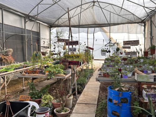 A greenhouse at Kfar Izun used in therapy to treat trauma and addiction (Photo courtesy CJP)