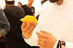 Sukkot Etrog Lemon Citron Sukkot Etrog Lemon Citron Esther Wechsler Unsplash