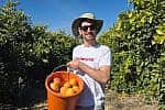 Gilad harvesting fruit for Leket Israel Gilad harvesting fruit for Leket Israel
