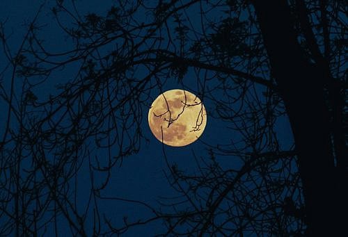 Full Moon Aron Visuals Unsplash