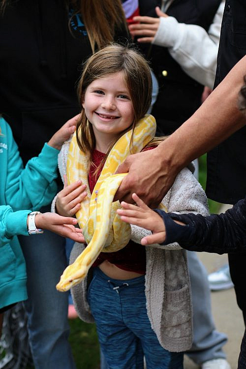 Rashi Reptiles 2025 A little girl with a yellow snake around her neck, in a relaxed way