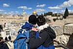 Defender - Medium Defender – Medium