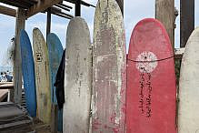 surf surf