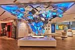 ANU Museum of the Jewish Peopl ANU Museum of the Jewish People Ziv Catz Tel Aviv University