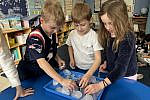 IMG_3867 IMG_3867