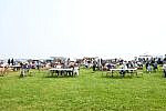 festival cover image festival cover image