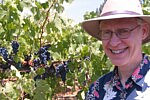 Jon _ Grapes at HaGafen Winery Jon _ Grapes at HaGafen Winery