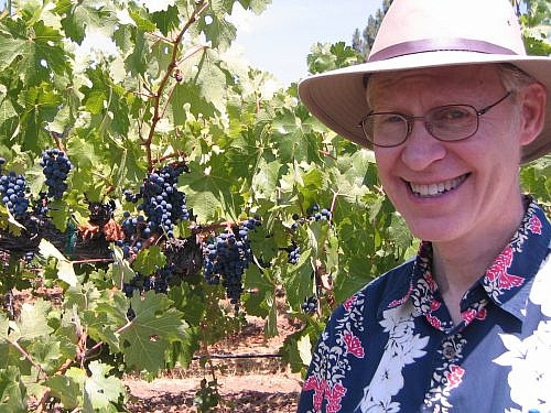 Jon _ Grapes at HaGafen Winery Jon _ Grapes at HaGafen Winery