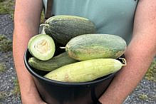 REFERRAL ONLY Jewish Seed Project Jewish Farmer Network 65d268