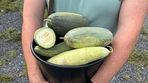 REFERRAL ONLY Jewish Seed Project Jewish Farmer Network 65d268