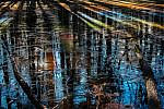 Rays of Awe by Emily Sper_18 x 24 photograph_Psalm 27 exhibit Rays of Awe by Emily Sper_18 x 24 photograph_Psalm 27 exhibit