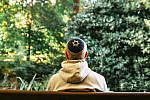 Jewish man wearing yarmulke while sitting on bench in public park Color image depicting a Jewish man wearing a yarmulke, or kippah, while meditating and lost in thought in the park. The young man is dressed casually in grey hoodie and blue denim jeans.