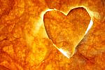 lev_shalem_leaf_heart lev_shalem_leaf_heart